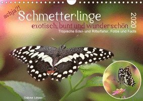 Achja?! Schmetterlinge, Exotisch, - Löwer - Bøger -  - 9783671217960 - 