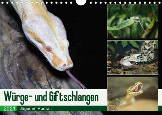 Cover for N · Würge- und Giftschlangen (Wandkalende (Book)