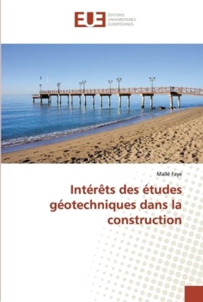 Cover for Faye · Intérêts des études géotechniques (Bog) (2018)