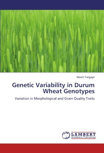Cover for Dawit Tsegaye · Genetic Variability in Durum Wheat Genotypes: Variation in Morphological and Grain Quality Traits (Paperback Bog) (2012)