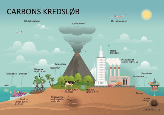 - · Kredsløb i naturen (Plakat) [1. utgave] (2024)