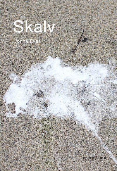 Cover for Jonna Fries · Skalv (Book) (2018)