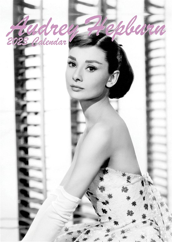 Audrey Hepburn 2023 Unofficial Calendar - Audrey Hepburn - Merchandise - VYDAVATELSTIVI - 0617285007961 - 1 juni 2022