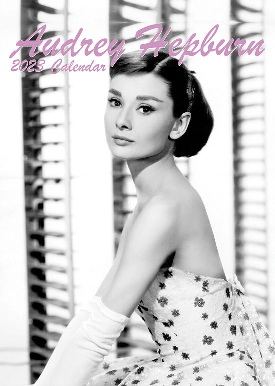 Audrey Hepburn 2023 Unofficial Calendar - Audrey Hepburn - Marchandise - VYDAVATELSTIVI - 0617285007961 - 1 juin 2022