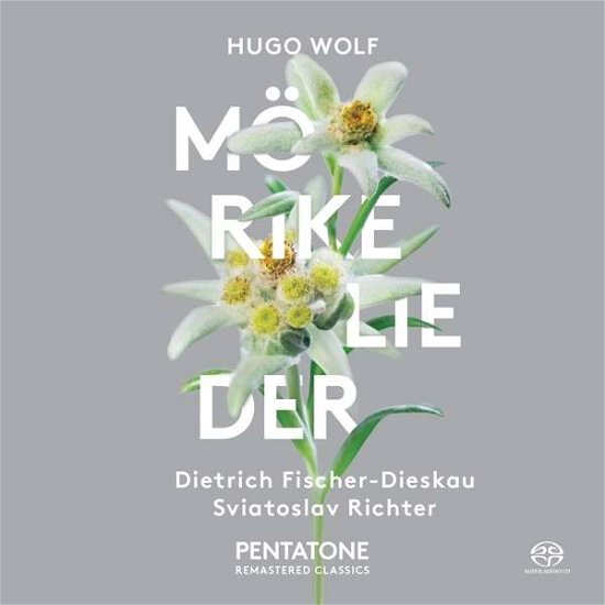 Morike Lieder - H. Wolf - Muziek - PENTATONE - 0827949021961 - 1 augustus 2015