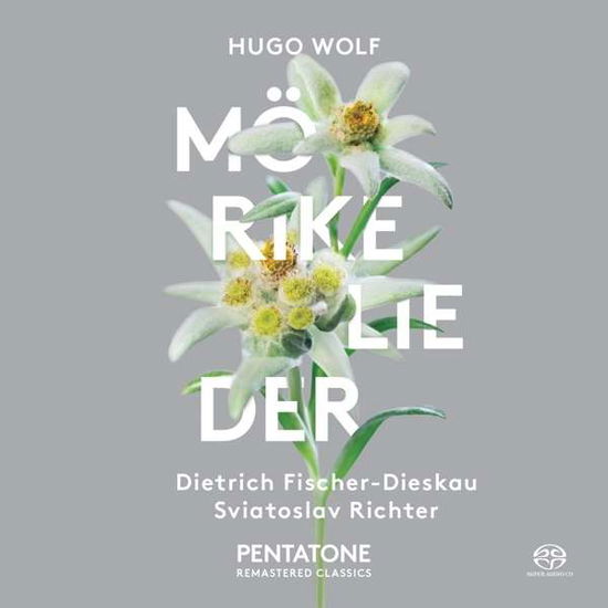 Morike Lieder - H. Wolf - Musik - PENTATONE - 0827949021961 - 1. august 2015