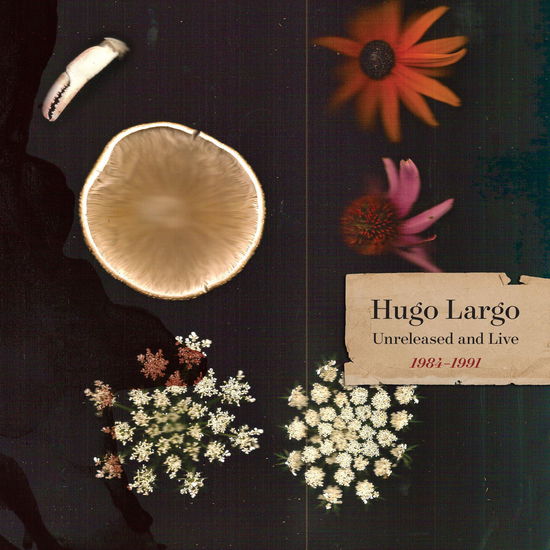 Hugo Largo · Huge Large and Electric: Hugo Largo 1984-1991 (LP) (2024)