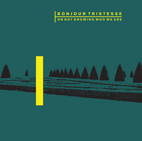 Cover for Bonjour Tristesse · On Not Knowing Who We Are (LP) (2013)