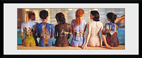 Cover for Pink Floyd · Pink Floyd: Back Catalogue (Stampa In Cornice 75x30 Cm) (Toys)