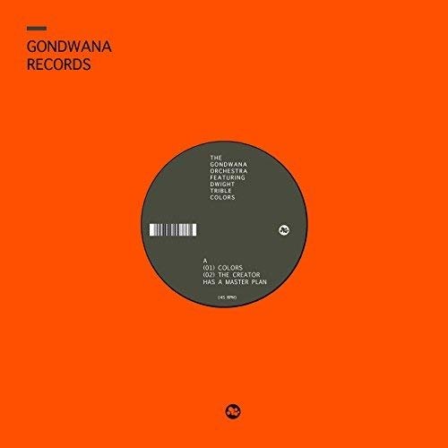 Cover for Gondwana Orchestra · Colors (LP) (2018)