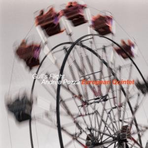 Cover for Andrea European Quintet Pozza · Gull's Flight (CD) (2011)