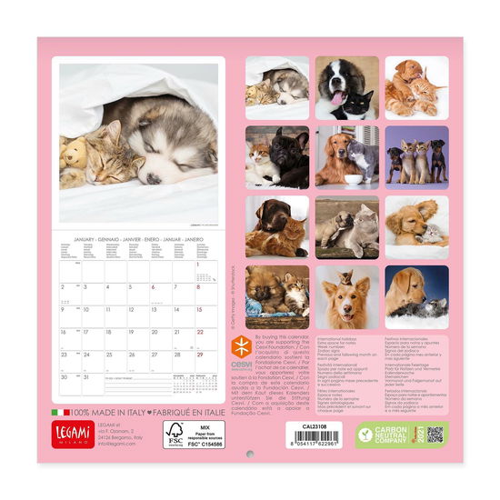 Legami · Best Friends Dog And Cat Wall Calendar 2023 (Calendar) (2022)