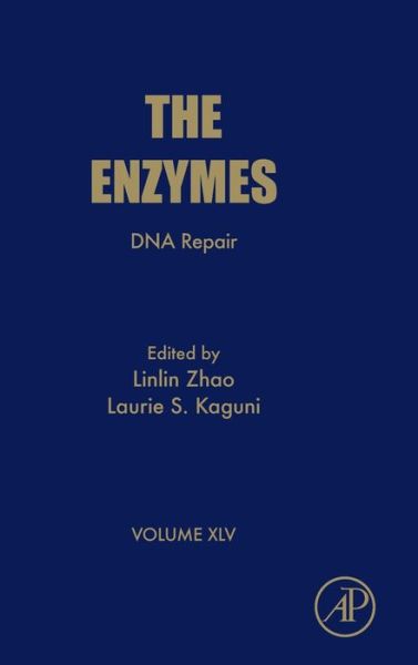 Cover for DNA Repair (Hardcover Book) (2019)
