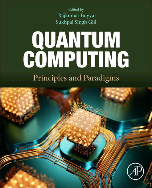 Cover for Quantum Computing: Principles and Paradigms (Paperback Bog) (2025)