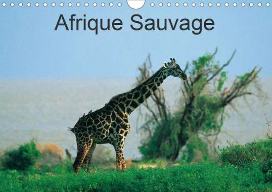 Cover for Leroy · Afrique Sauvage (Calendrier mural (Book)