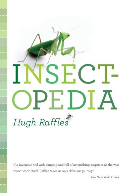 Cover for Raffles  Hugh · Insectopedia (Paperback Bog) (2011)
