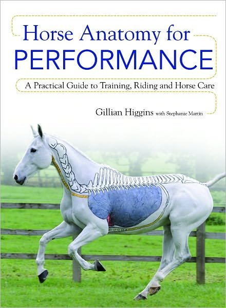Horse Anatomy for Performance: A Practical Guide to Training, Riding and Horse Care - Gillian Higgins - Libros - David & Charles - 9781446300961 - 27 de abril de 2012