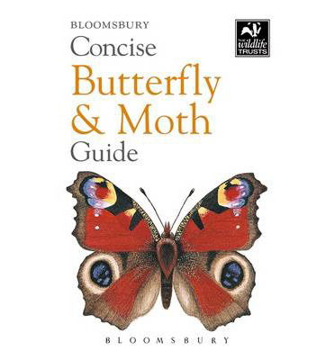 Cover for Bloomsbury · Concise Butterfly and Moth Guide (N/A) (2014)