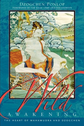Cover for Dzogchen Ponlop · Wild Awakening: The Heart of Mahamudra and Dzogchen (Pocketbok) [Second Impression edition] (2003)