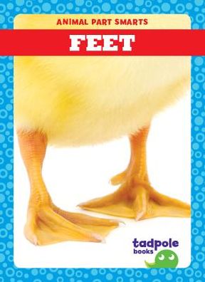 Cover for Jenna Lee Gleisner · Feet (Hardcover Book) (2019)