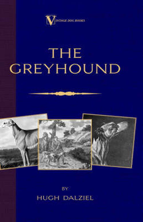 Cover for Hugh Dalziel · The Greyhound; Its History, Points, Breeding, Rearing, Training and Running (A Vintage Dog Books Breed Classic) (Hardcover Book) (2005)