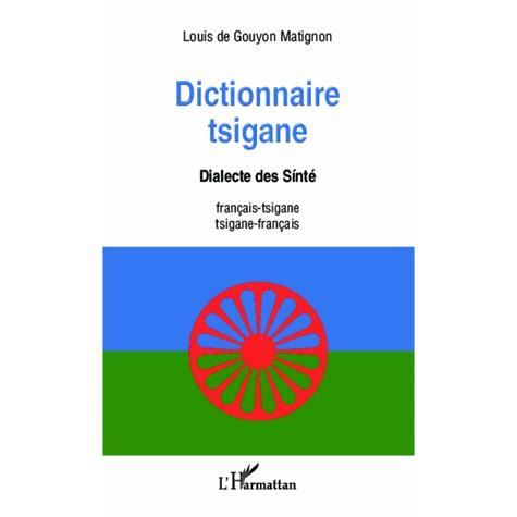 Cover for Louis de Gouyon Matignon · Dictionnaire tsigane (Paperback Book) (2020)