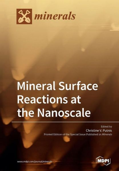 Cover for Christine V Putnis · Mineral Surface Reactions at the Nanoscale (Paperback Book) (2019)
