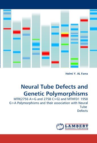 Cover for Helmi Y. Al Farra · Neural Tube Defects and Genetic Polymorphisms: Mtr (2756 A&gt;g and 2758 C&gt;g) and Mthfd1 1958 G&gt;a Polymorphisms and Their Association with Neural Tube  Defects (Paperback Book) (2011)