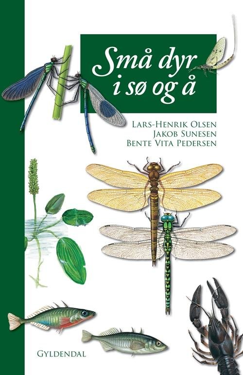 Cover for Lars-Henrik Olsen · Små dyr i sø og å (Gebundesens Buch) [4. Ausgabe] [Indbundet] (2009)