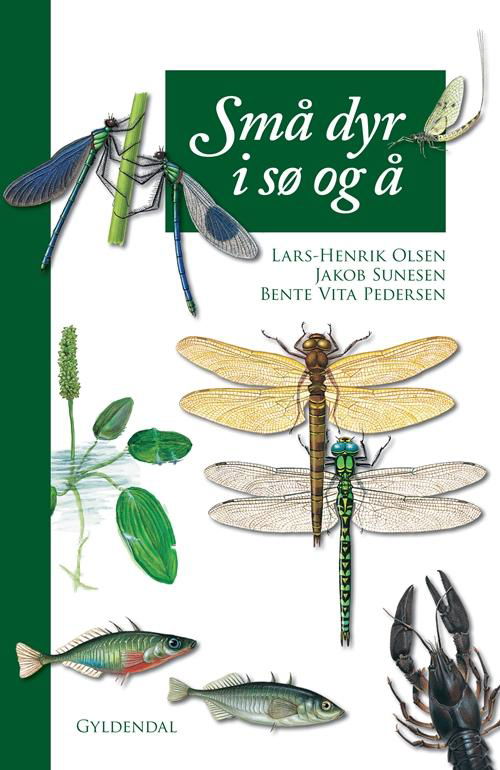 Cover for Lars-Henrik Olsen · Små dyr i sø og å (Indbundet Bog) [4. udgave] [Indbundet] (2009)