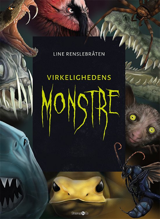 Cover for Line Renslebråten · Virkelighedens monstre + monsterkort (Hardcover bog) [1. udgave] (2020)