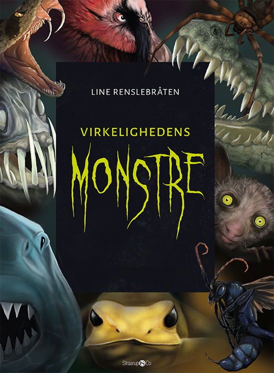 Cover for Line Renslebråten · Virkelighedens monstre + monsterkort (Hardcover Book) [1e uitgave] (2020)