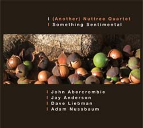 Cover for Another Nuttree Quartet · Something Sentimental (CD) (2010)