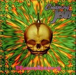 Cover for Creaming Jesus · Headrush (LP) (2011)