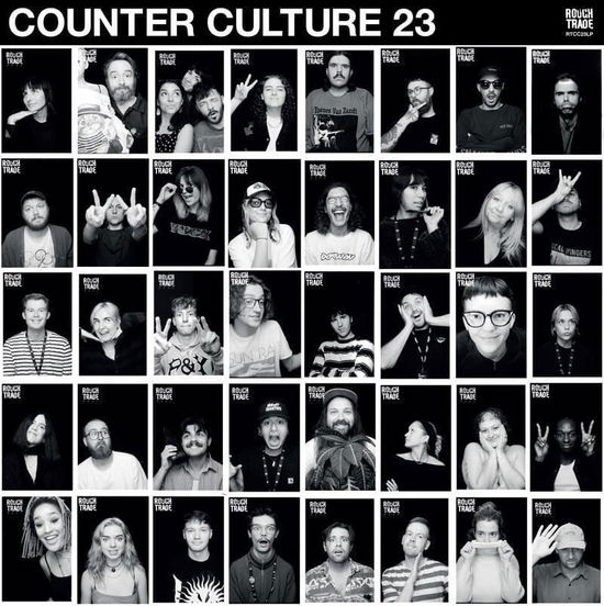 Cover for Various Artists · Rough Trade Counter Culture 2023 (LP) (2024)