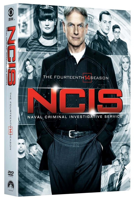 Cover for Ncis · NCIS - Season 14 (DVD) (2017)