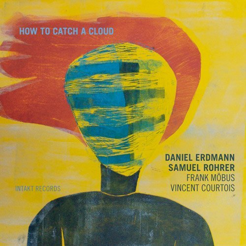 Cover for Daniel Erdmann · How To Catch A Cloud (CD) (2017)