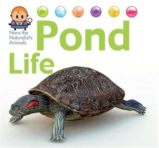 Cover for David West · Nora the Naturalist's Animals: Pond Life - Nora the Naturalist's Animals (Gebundenes Buch) [Illustrated edition] (2015)