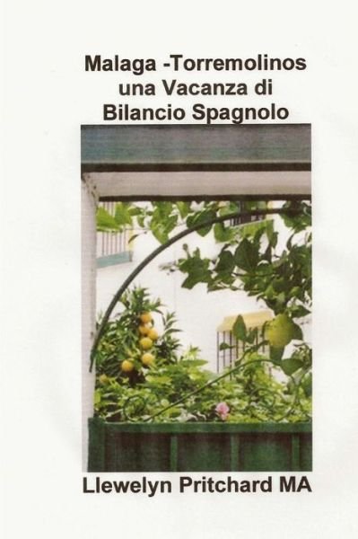 Cover for Llewelyn Pritchard Ma · Malaga -torremolinos Una Vacanza Di Bilancio Spagnolo: I Diari Illustrata Di Llewelyn Pritchard Ma (Taschenbuch) [Italian edition] (2012)