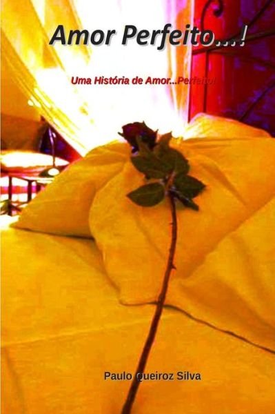Cover for P Paulo Queiroz Silva S · Amor Perfeito...!: Uma Perfeita Estoria De Amor...! (Paperback Book) (2014)