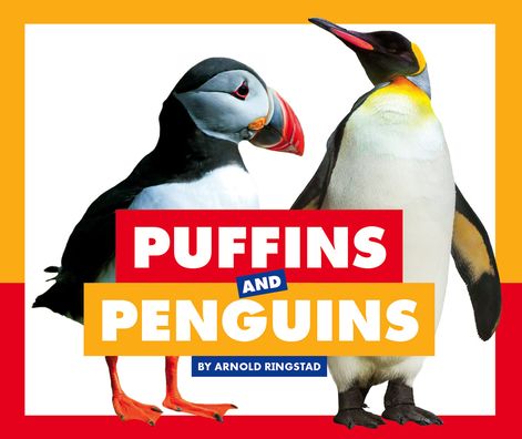 Cover for Arnold Ringstad · Puffins and Penguins (Hardcover Book) (2020)