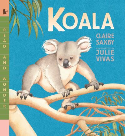 Cover for Claire Saxby · Koala (Paperback Book) (2019)