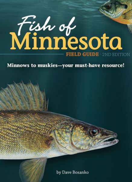 Cover for Dave Bosanko · Fish of Minnesota Field Guide - Fish Identification Guides (Gebundenes Buch) [2 Revised edition] (2019)