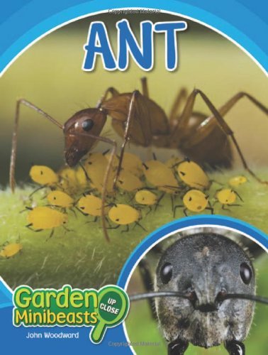 Cover for John Woodward · Ant (Garden Minibeasts Up Close) (Hardcover bog) (2010)
