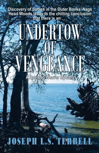 Cover for Joseph L. S. Terrell · Undertow of Vengeance (Paperback Book) (2014)