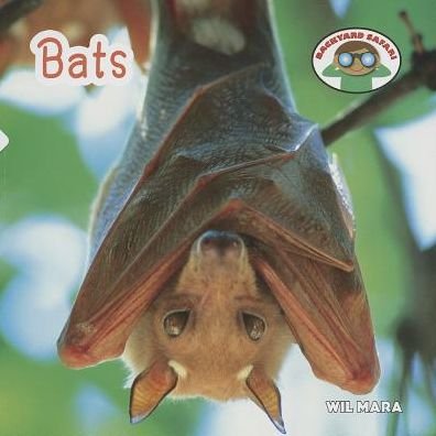 Cover for Wil Mara · Bats (Backyard Safari) (Taschenbuch) (2014)