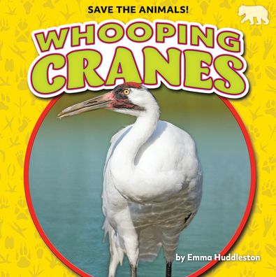 Cover for Emma Huddleston · Whooping Cranes (Hardcover Book) (2022)