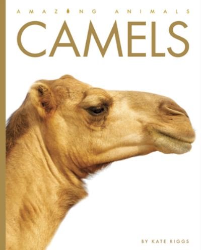 Cover for Kate Riggs · Camels (N/A) (2022)