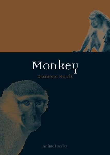 Monkey - Animal Series - Desmond Morris - Bøker - Reaktion Books - 9781780230962 - 1. mai 2013