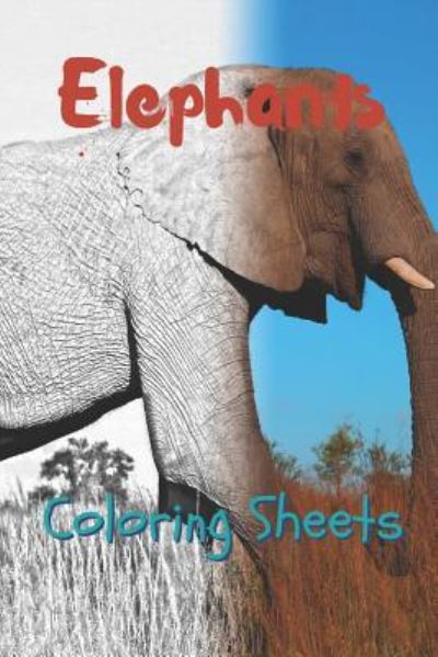 Cover for Julian Smith · Elephant Coloring Sheets (Paperback Book) (2019)